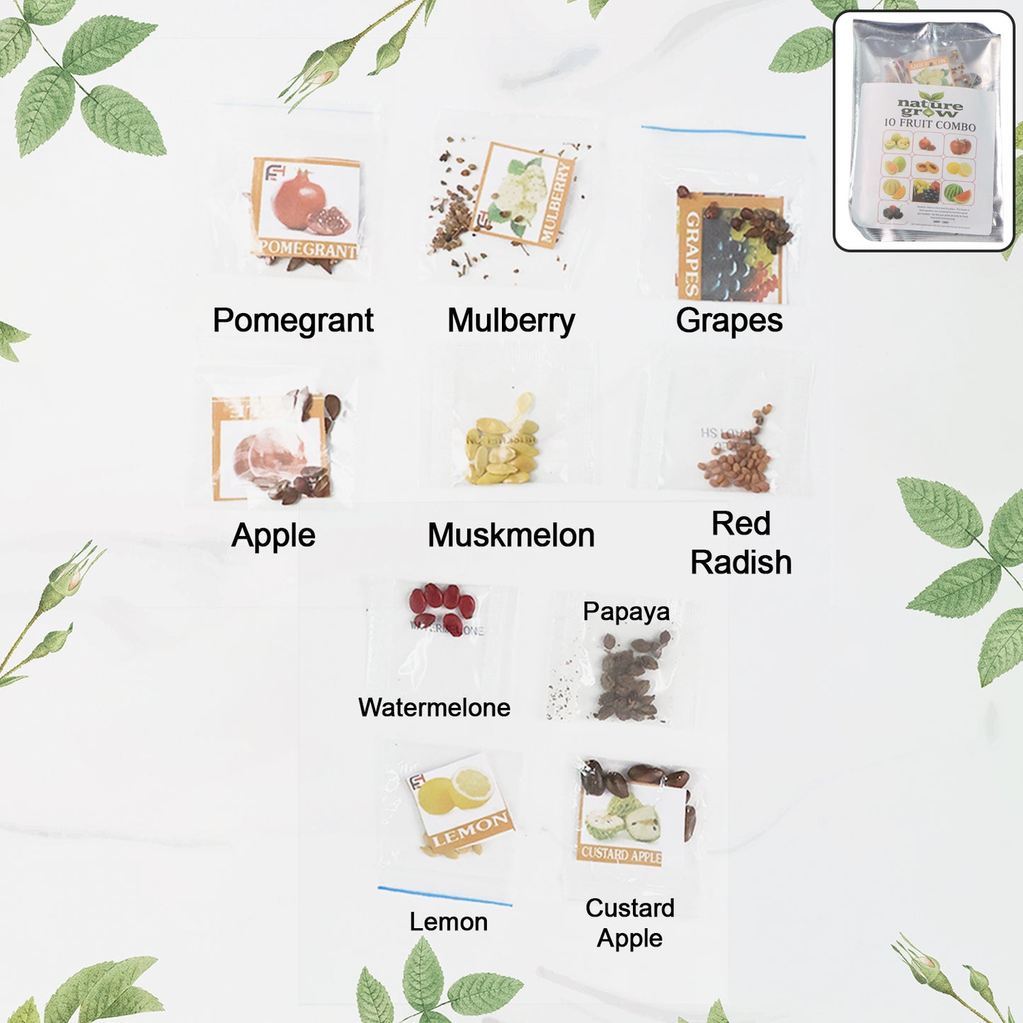 10 Fruit Seed Varieties Combo Pack for Home Gardening - Happy Price - Image 2