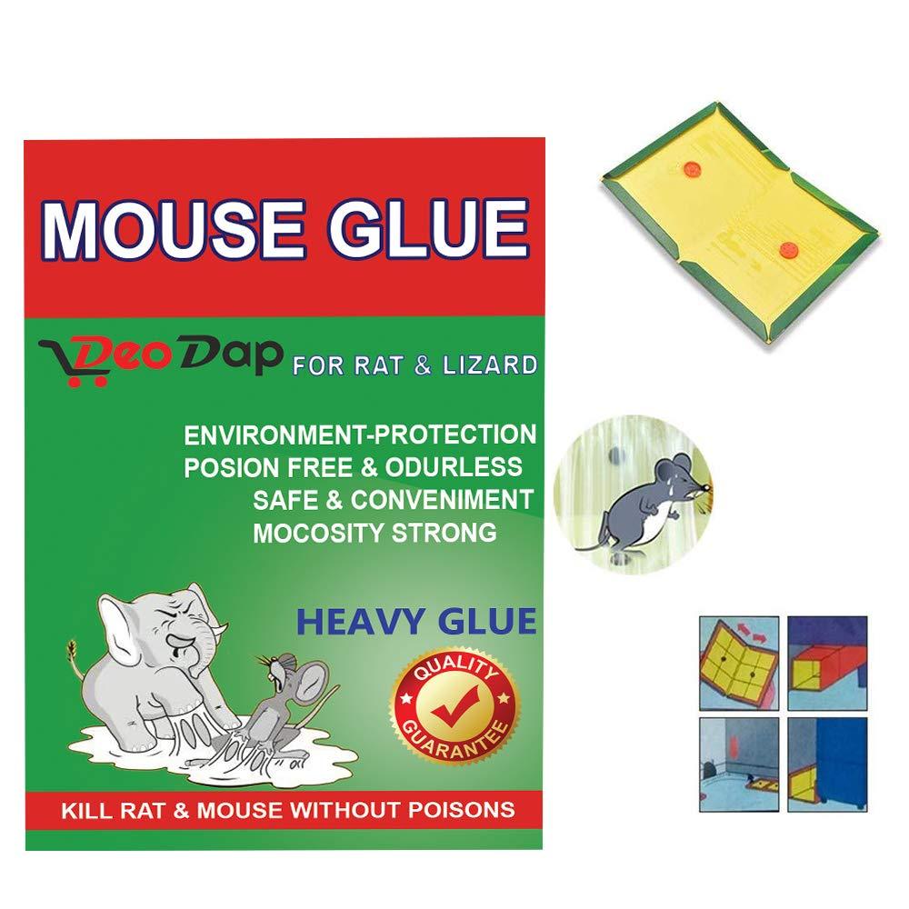 Green Mouse Glue Trap - 1 Piece Sticky Catcher - Happy Price - Image 3