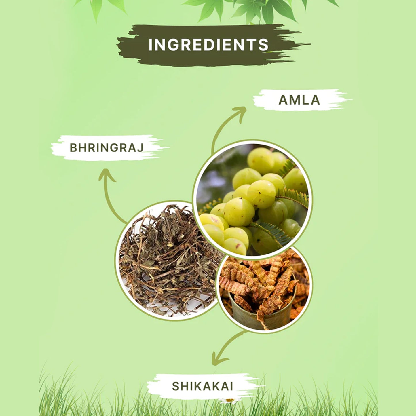 Strengthening Anti Hair Fall Shampoo - 250ml Bottle for Reduced Breakage - Happy Price - Image 4