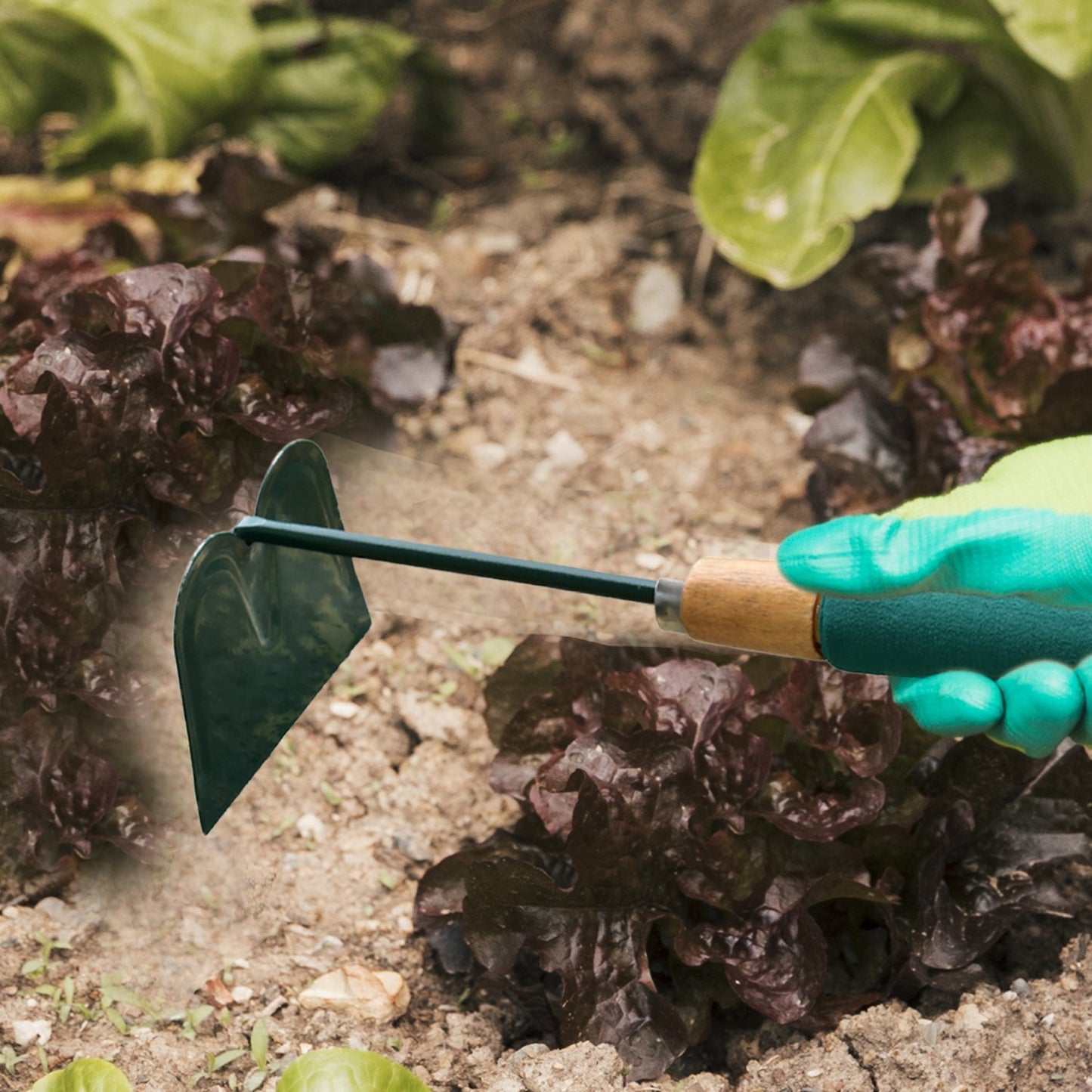 Garden Hoe with Dual-Action Prongs and Handle - Happy Price - Image 4