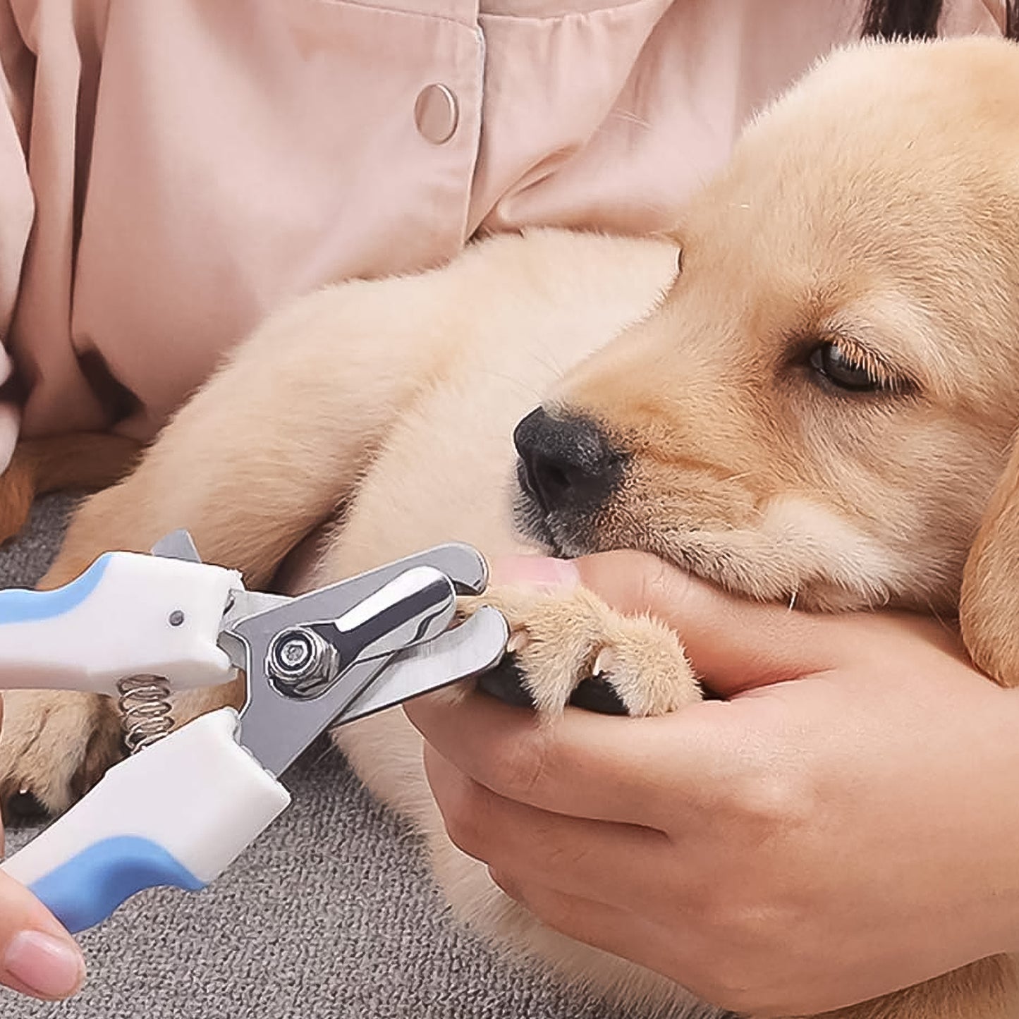 Pet Nail Clipper And Nail File Grooming Kit For Dogs And Cats (2 Pc) - Happy Price - Image 2