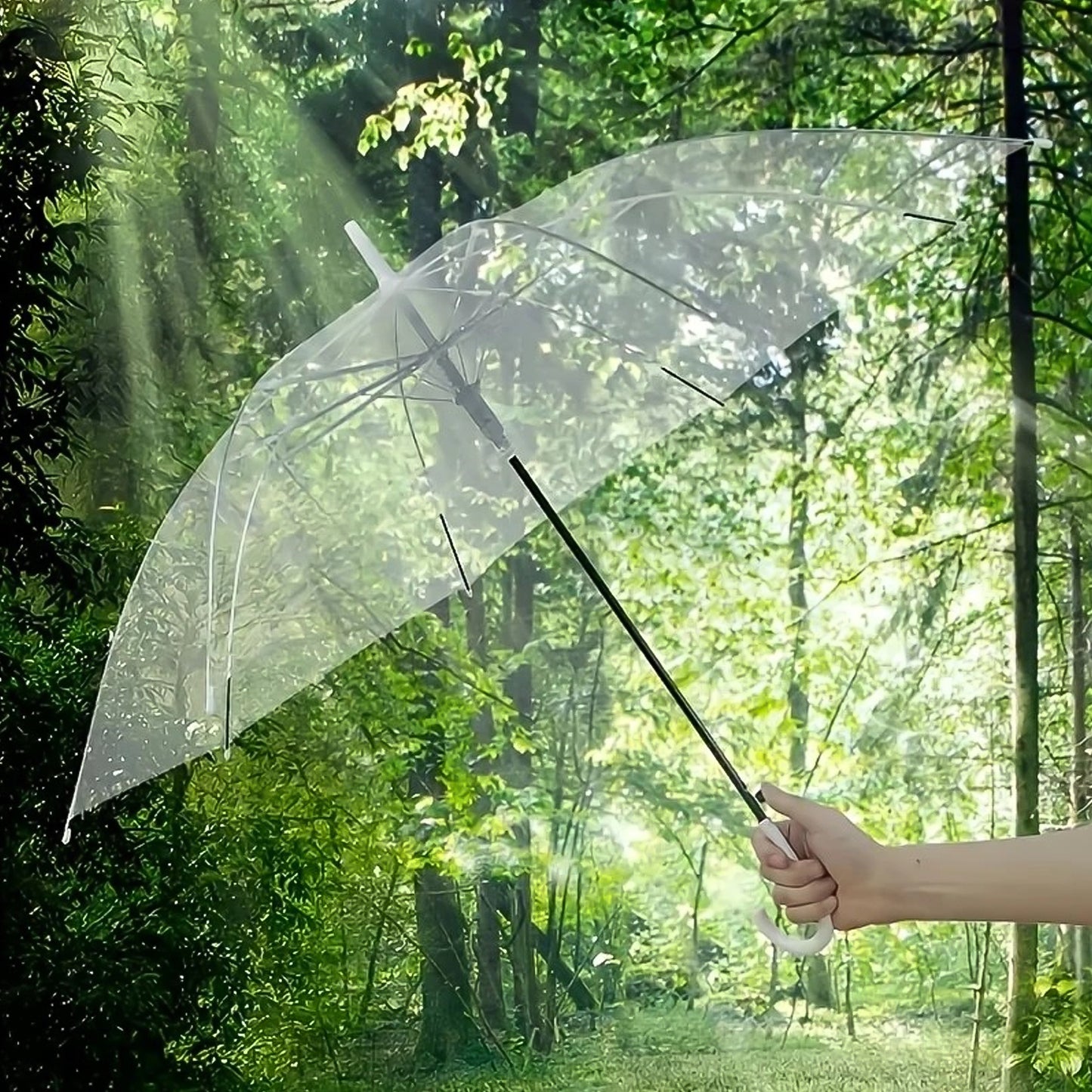 Transparent Dome Umbrella with Curved Handle (1 Pc) - Clear Canopy Stick Umbrella for Rain - Happy Price - Image 4