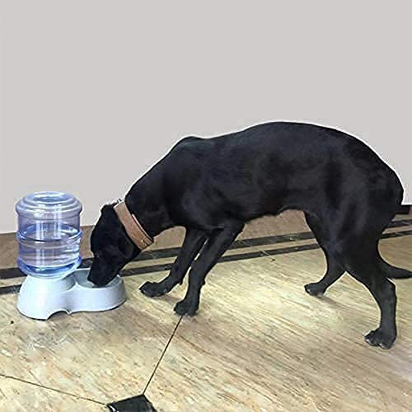 Automatic Pet Water Dispenser Self-dispensing Gravity Pet Feeder Water Cat Dog Feeding Bowl Drinking Water - Happy Price - Image 5
