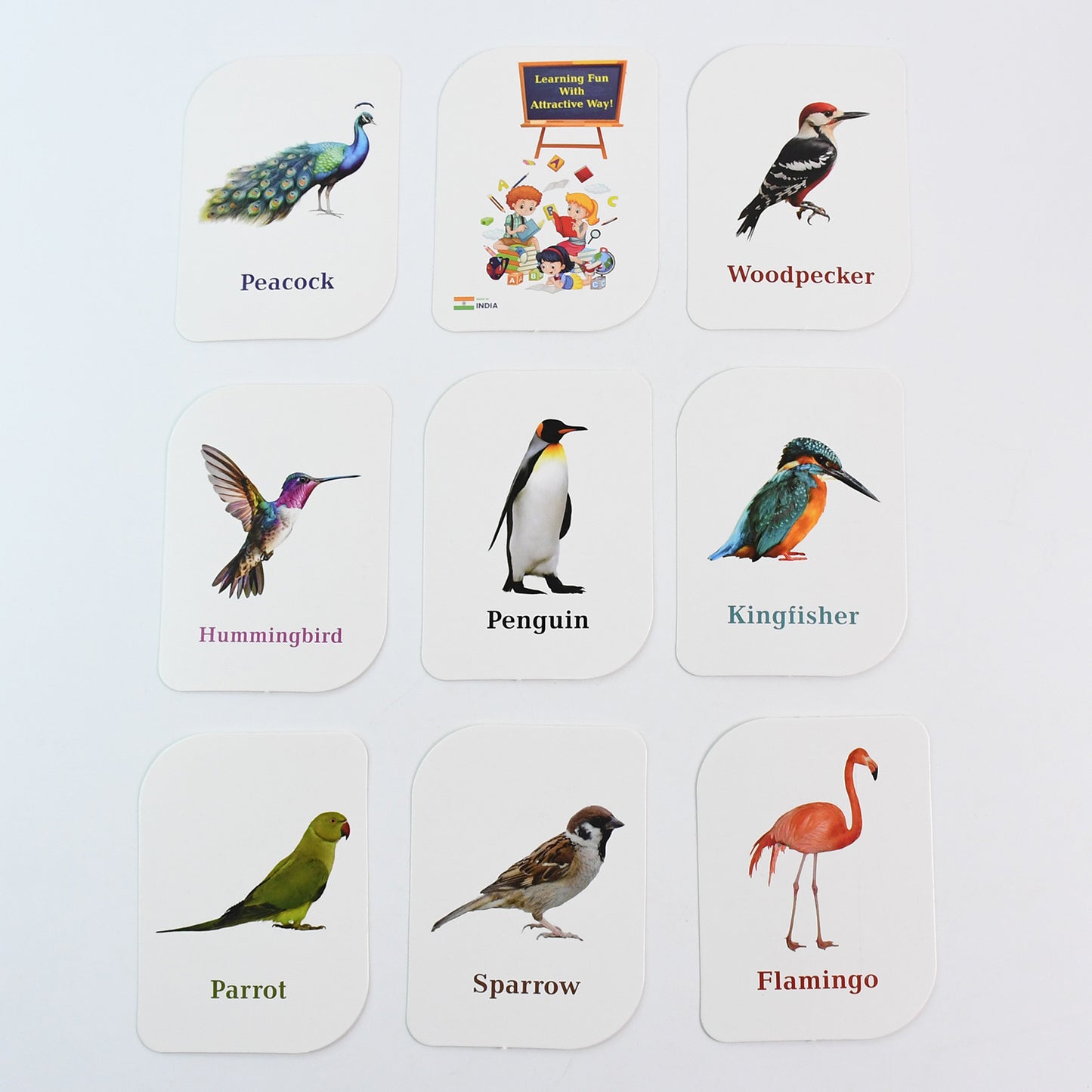 Kidkraft Early Learner Educational Flashcards 32 Birds - Happy Price - Image 2