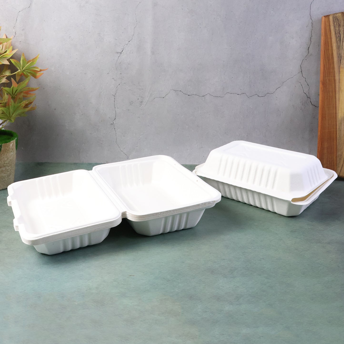 Compostable Bagasse Food Box with Hinged Lid - 9x6x3 Inch, 10 Pcs Pack - Happy Price - Image 2