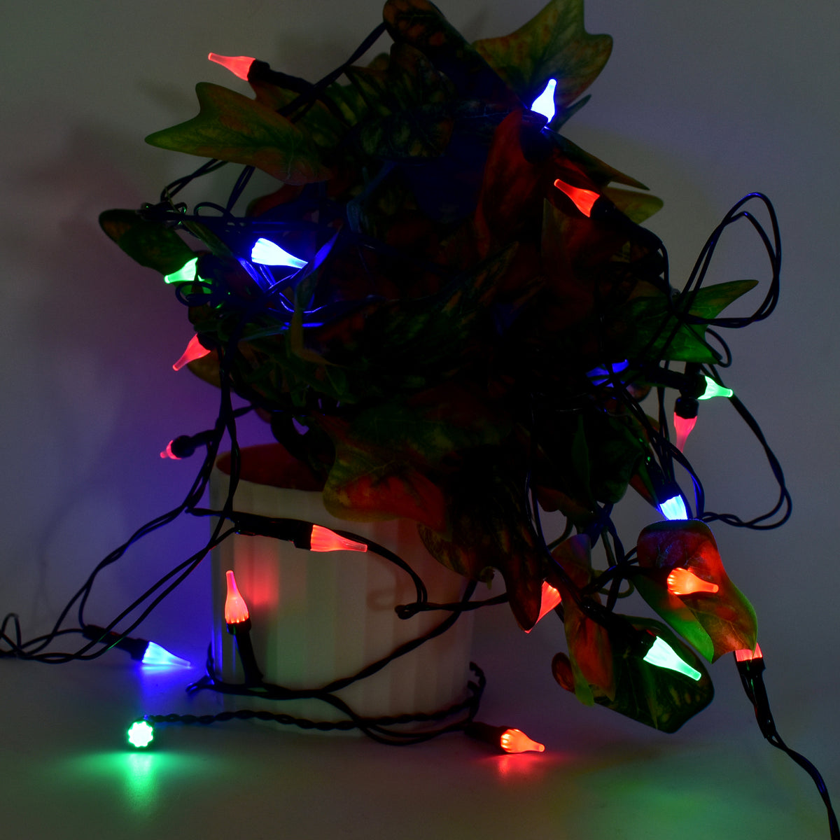 Multi-color Decorative Led String Light (8 Meter) - Happy Price - Image 5