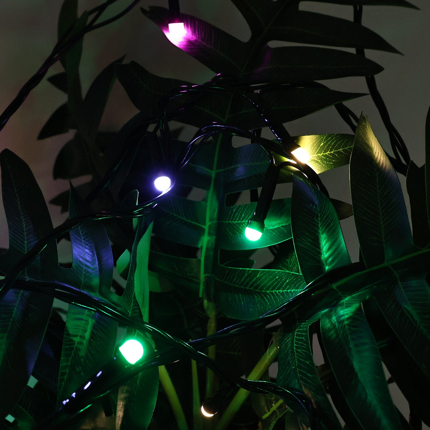 Led Decorative String Fairy Lights (9 Meter) - Happy Price - Image 5