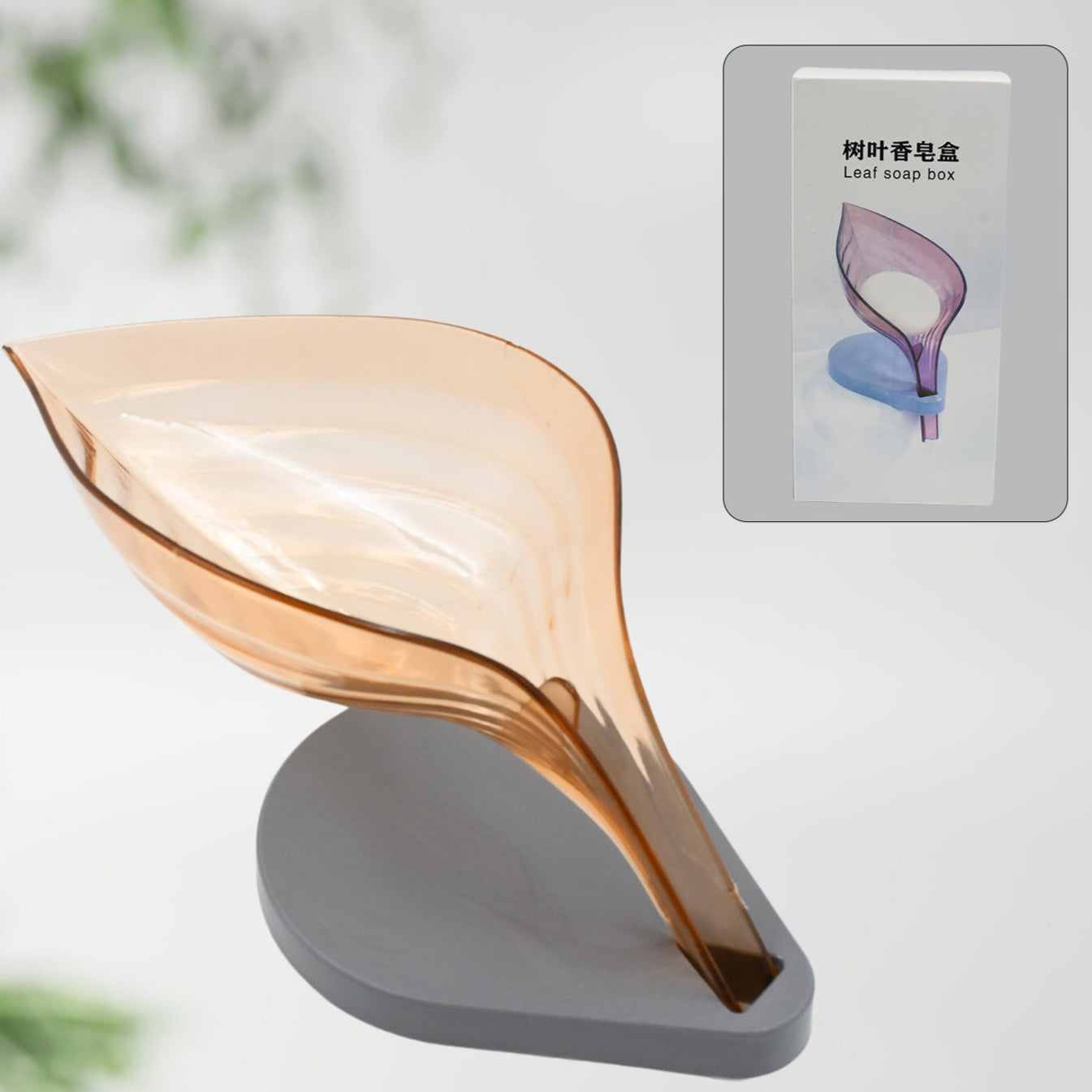 Plasticleaf Shape Soap Box Soap Holder (1 Pc With Color Box) - Happy Price - Image 1