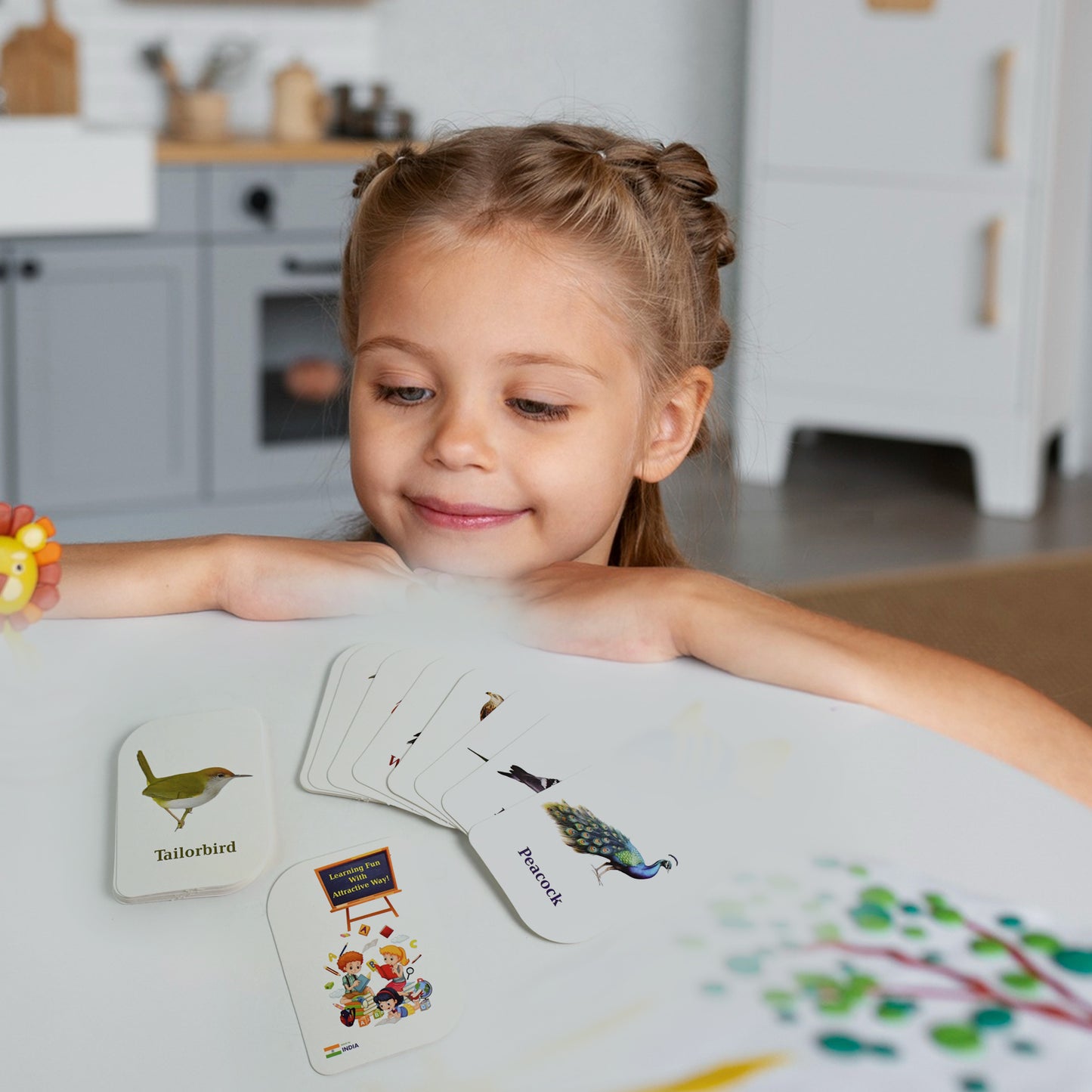 224 Pcs Early Learning Flashcard Combo Set - 7 Topics for Kids - Happy Price - Image 5