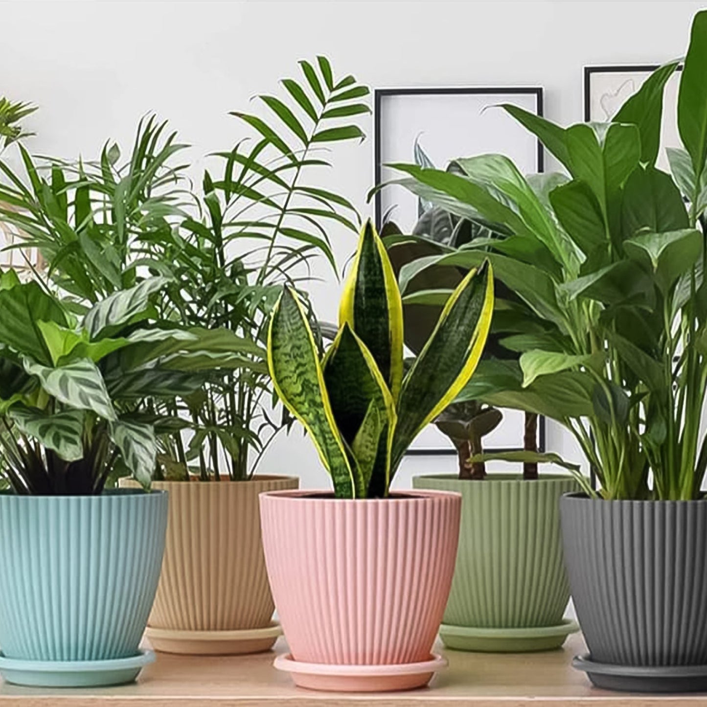 Set of 5 Round Plastic Plant Pots with Trays - Small 14-16 cm - Happy Price - Image 3