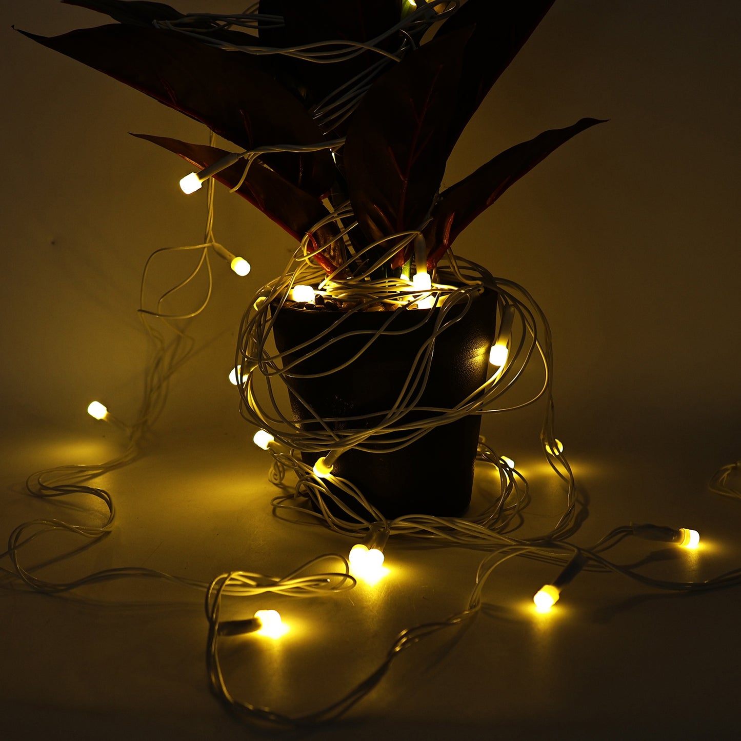 Warm Led Decorative String Light (8 Meter) - Happy Price - Image 6