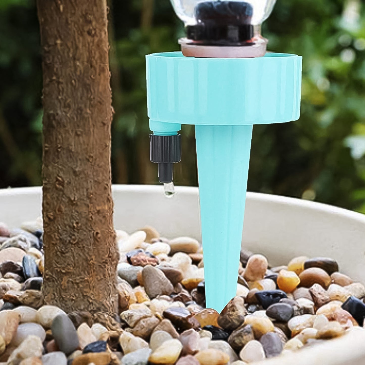 Auto Plant Watering Devices (1 Pc Mix Color) - Happy Price - Image 5
