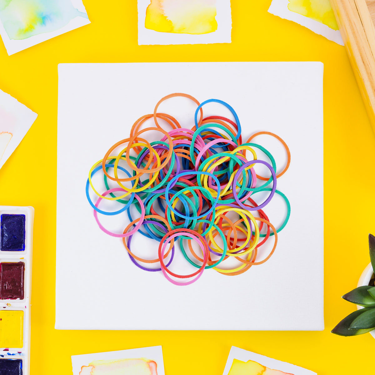 Durable Nylon Elastic Bands - Multicolour Assorted Pack for Home, Office & Kitchen Organization - Great Price - Image 4