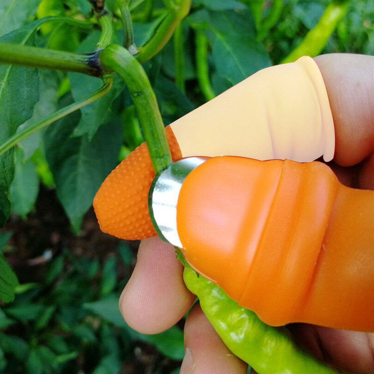 v 1 Pair V Thumb Cutter With Box Used In All Kinds Of Household And Official Kitchen Purposes For Peeling And Cutting Of Various Types Of Vegetables And Fruits Etc. - Happy Price - Image 2
