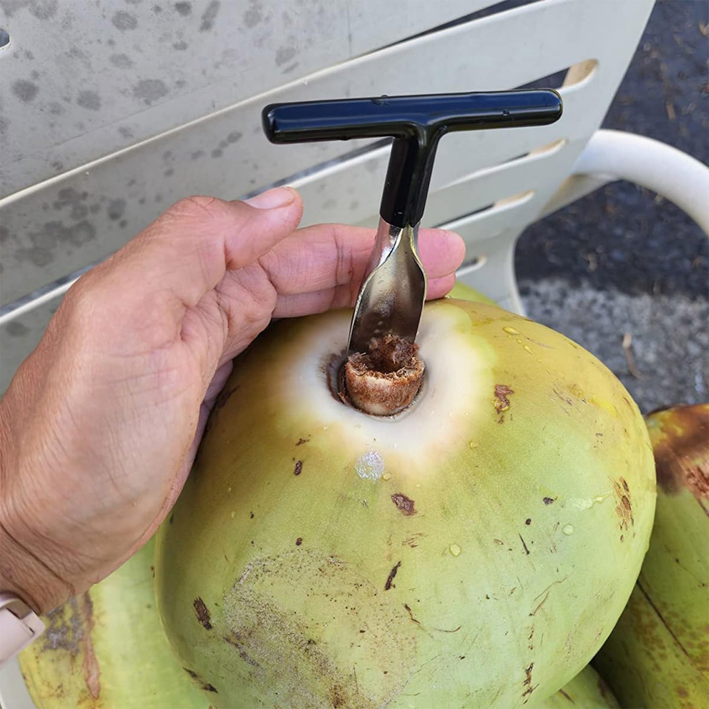 Stainless Steel Coconut Opener Tool with T-Handle Grip (1 Pc) - Happy Price - Image 3