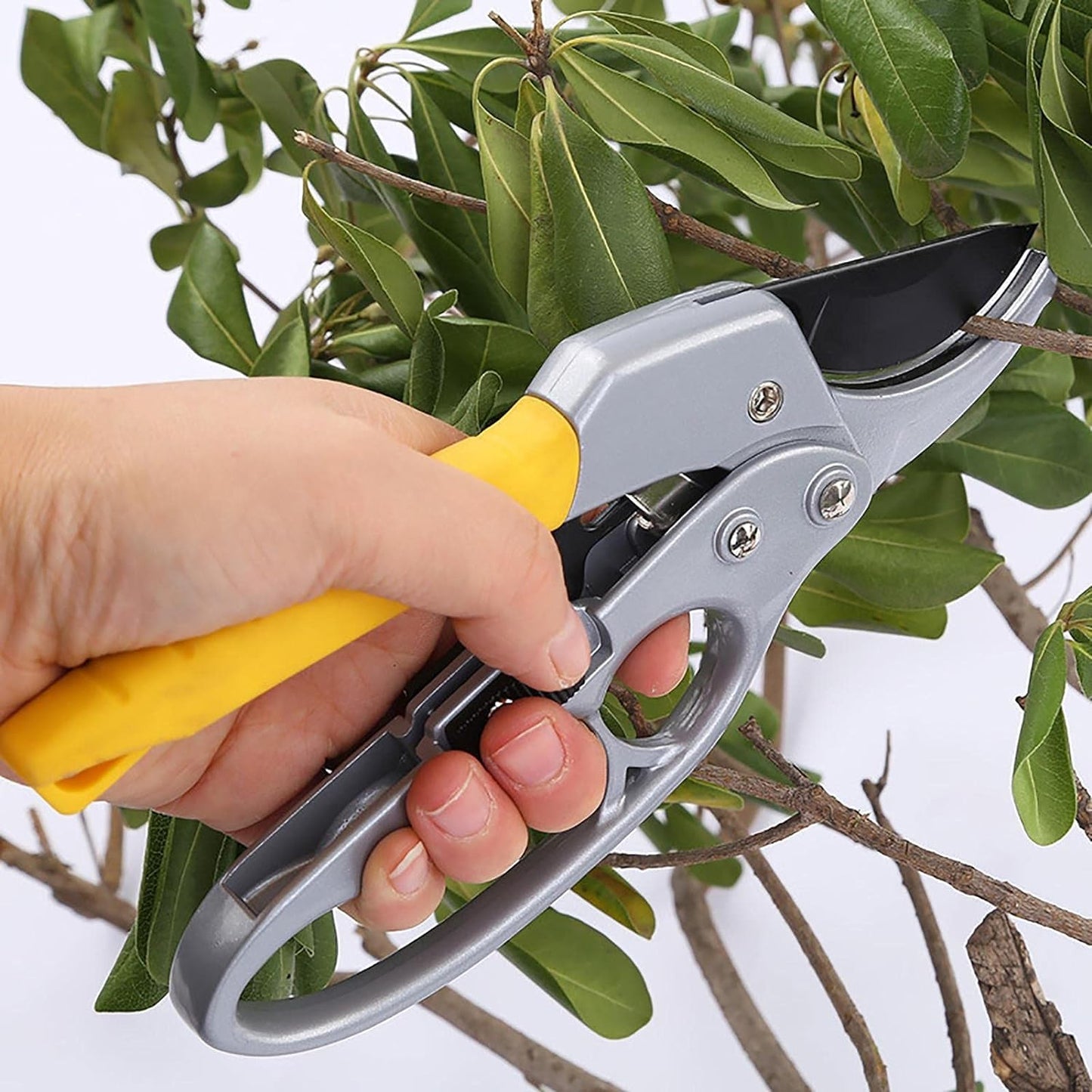 Gardening Shears Enhanced Garden Shears Pruning Machine (200 Mm 1 Pc) - Happy Price - Image 3