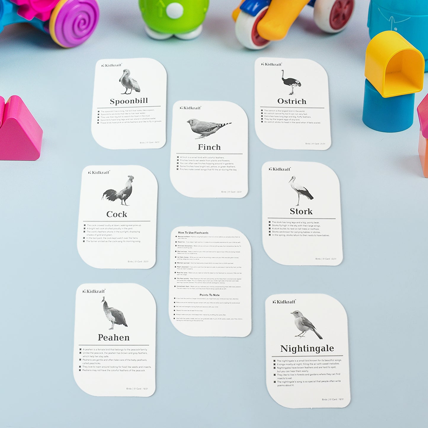 Kidkraft Early Learner Educational Flashcards 32 Birds - Happy Price - Image 5