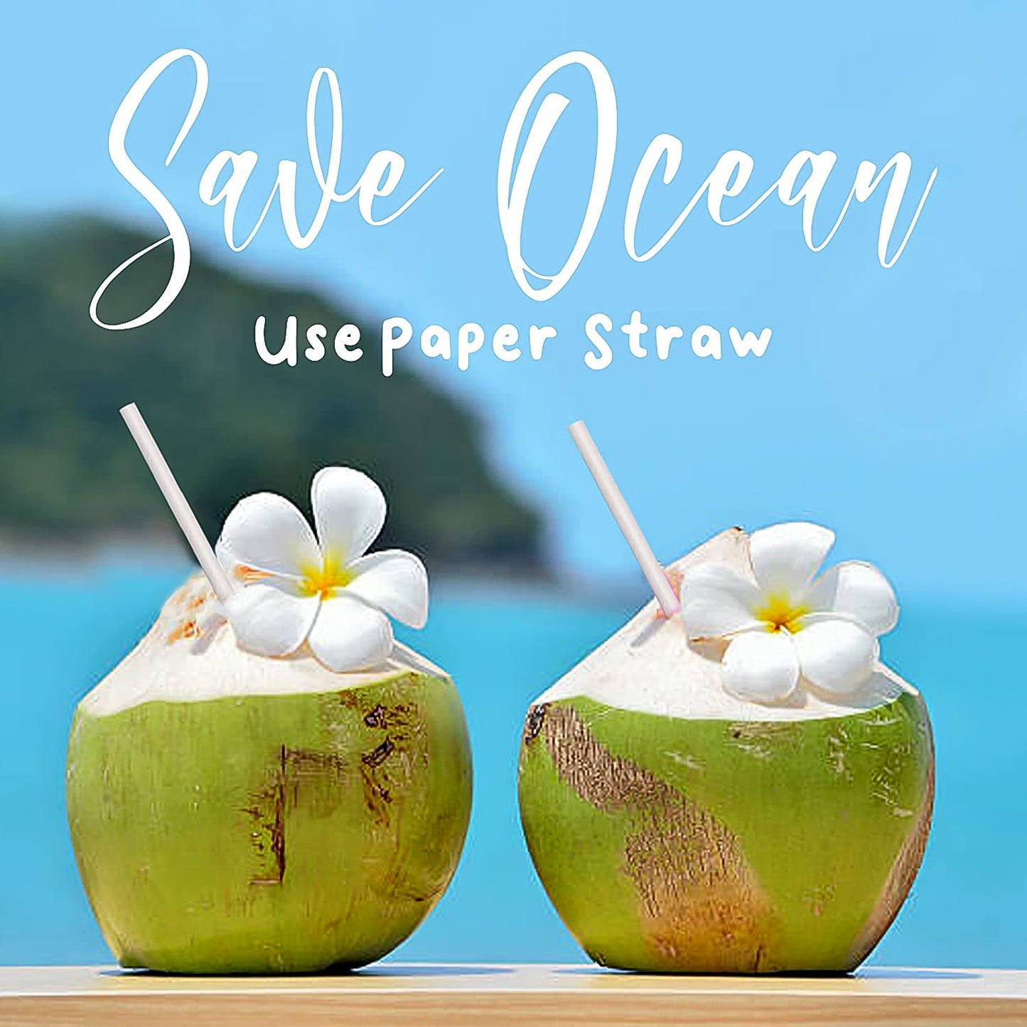 Plain Paper Drinking Straws - 6mm Diameter, 200mm Length, 50 Pcs Pack - Happy Price - Image 3