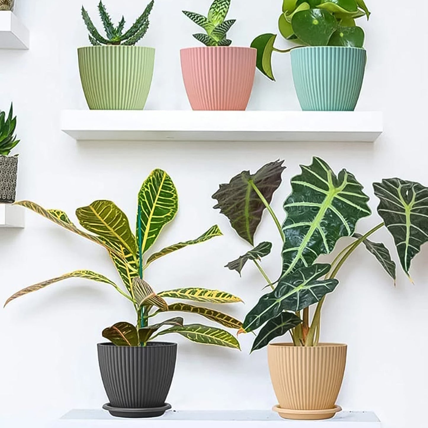 Set of 5 Round Plastic Plant Pots with Trays - Small 14-16 cm - Happy Price - Image 5