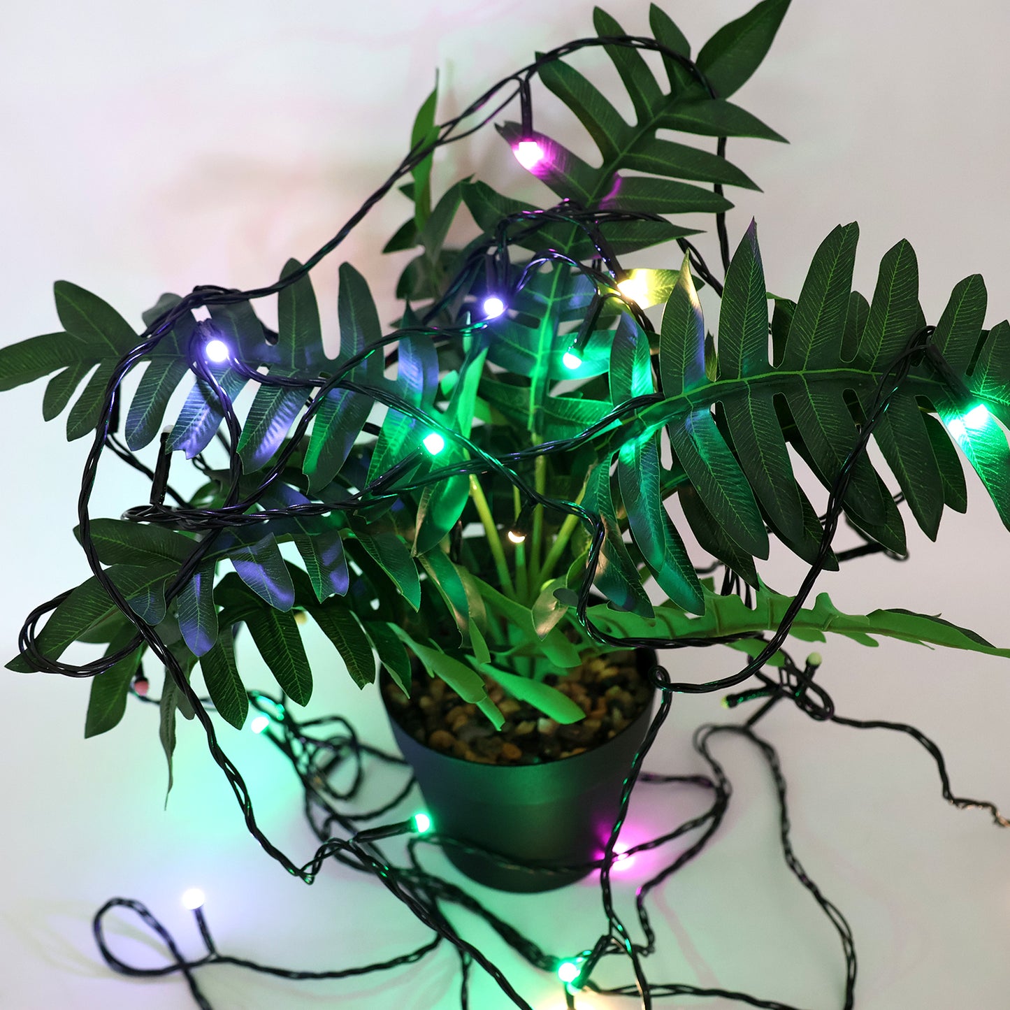 Led Decorative String Fairy Lights (9 Meter) - Happy Price - Image 4