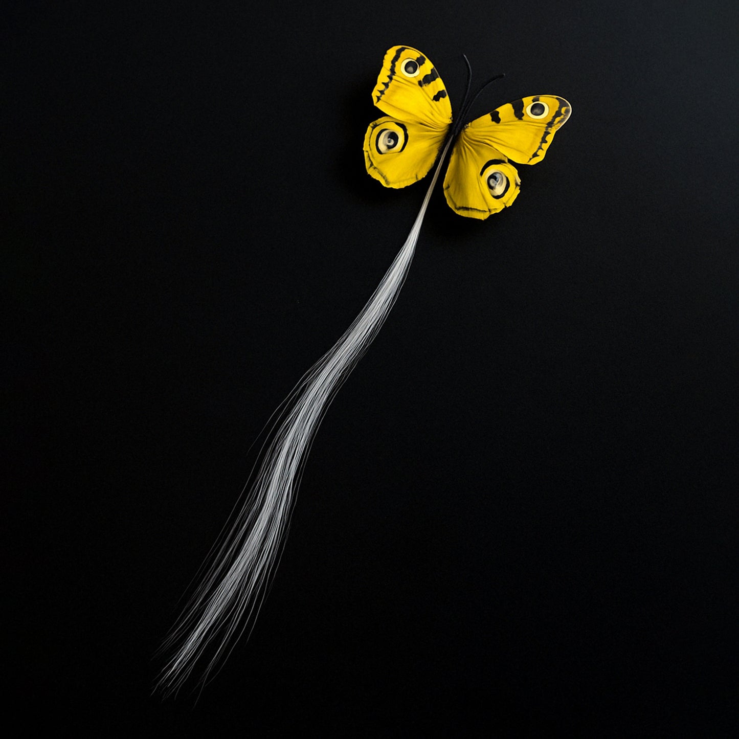 Led Butterfly Hair Braid Clip (Mix Color 1 Pc) - Happy Price - Image 3