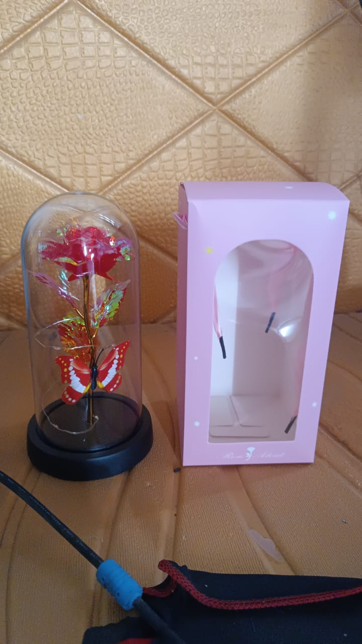 Elegant Led Eternal Rose In Plastic Dome (1 Pc Battery Not Included) - Happy Price - Image 7