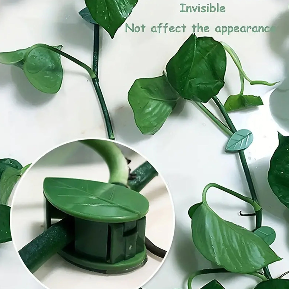 Plant Climbing Wall Fixture Clip Self-adhesive Hook Vines Traction Invisible Stand Green Plant Clip Garden Wall Clip Plant Support Binding Clip Plants For Indoor Outdoor Decoration (10 Pcs Set) - Happy Price - Image 2