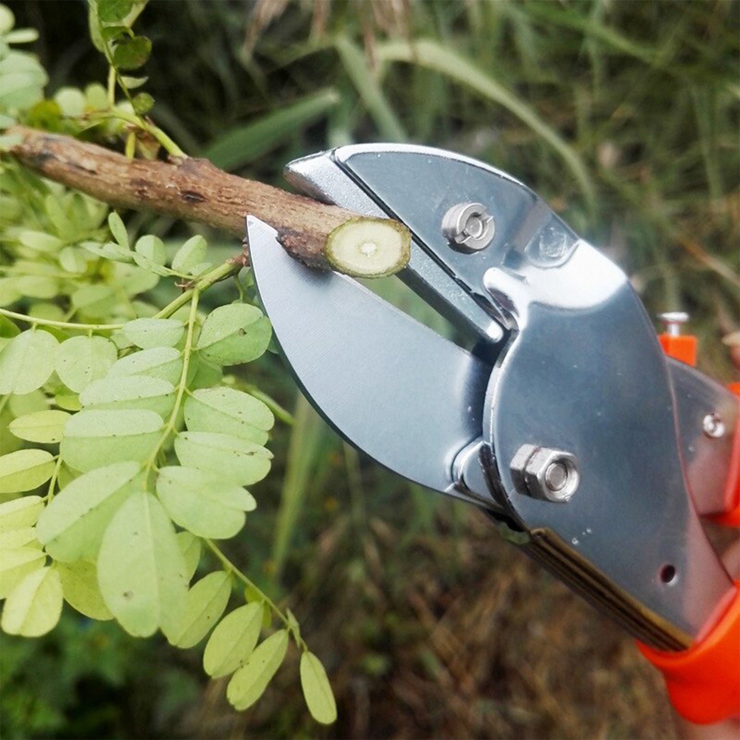 18cm Professional Garden Secateurs with Sharp Blades and Ergonomic Grip - Happy Price - Image 5