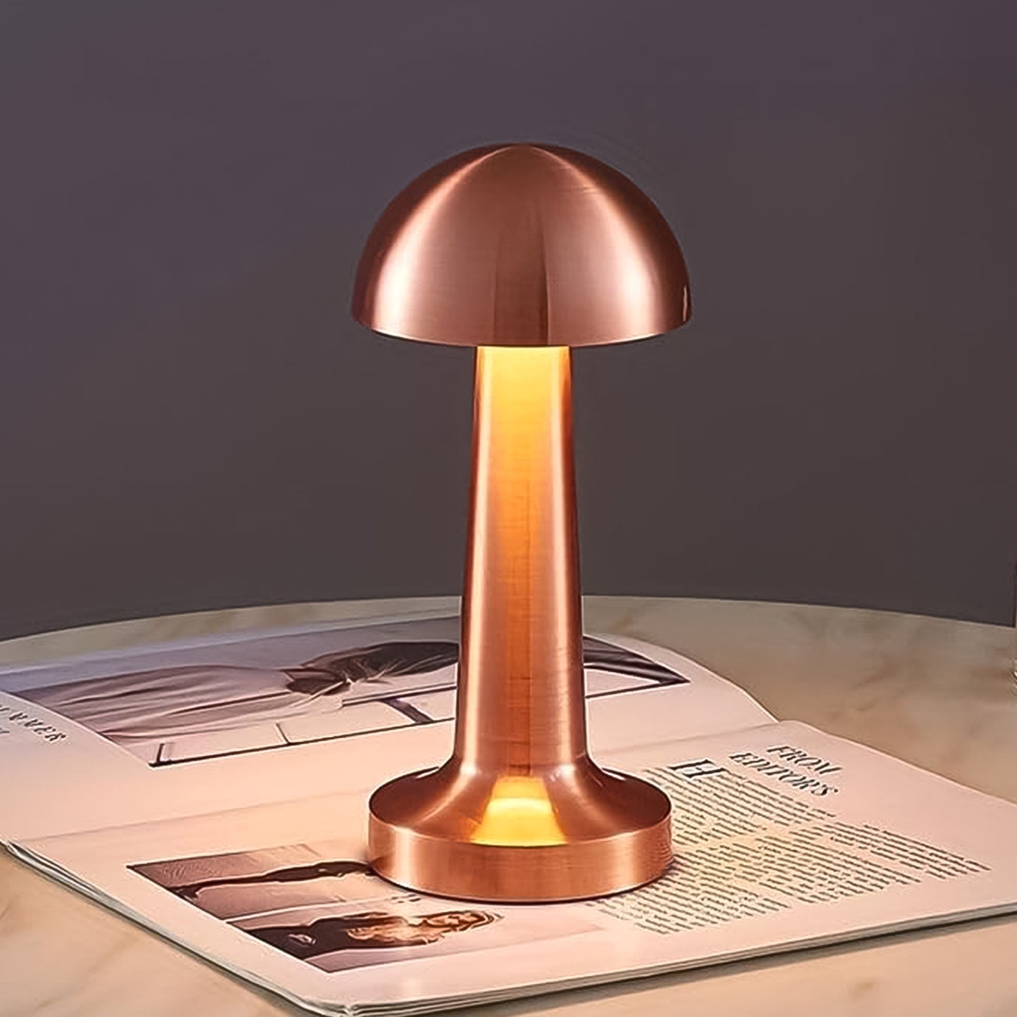 Led Lamp With Touch Control Decorative Desk Lamp Portable Metal Led Table Lamp - Happy Price - Image 3