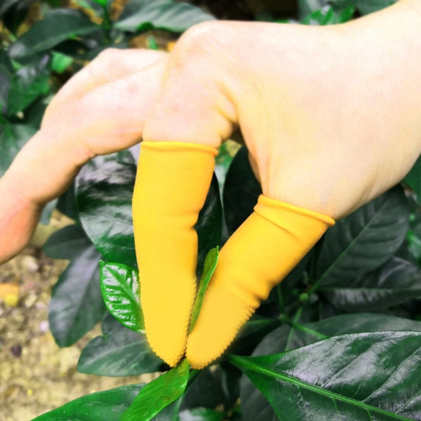 Finger Caps Silicone Finger Protectors Sleeves (Finger Cots 145 Pcs Set Approx) - Happy Price - Image 3