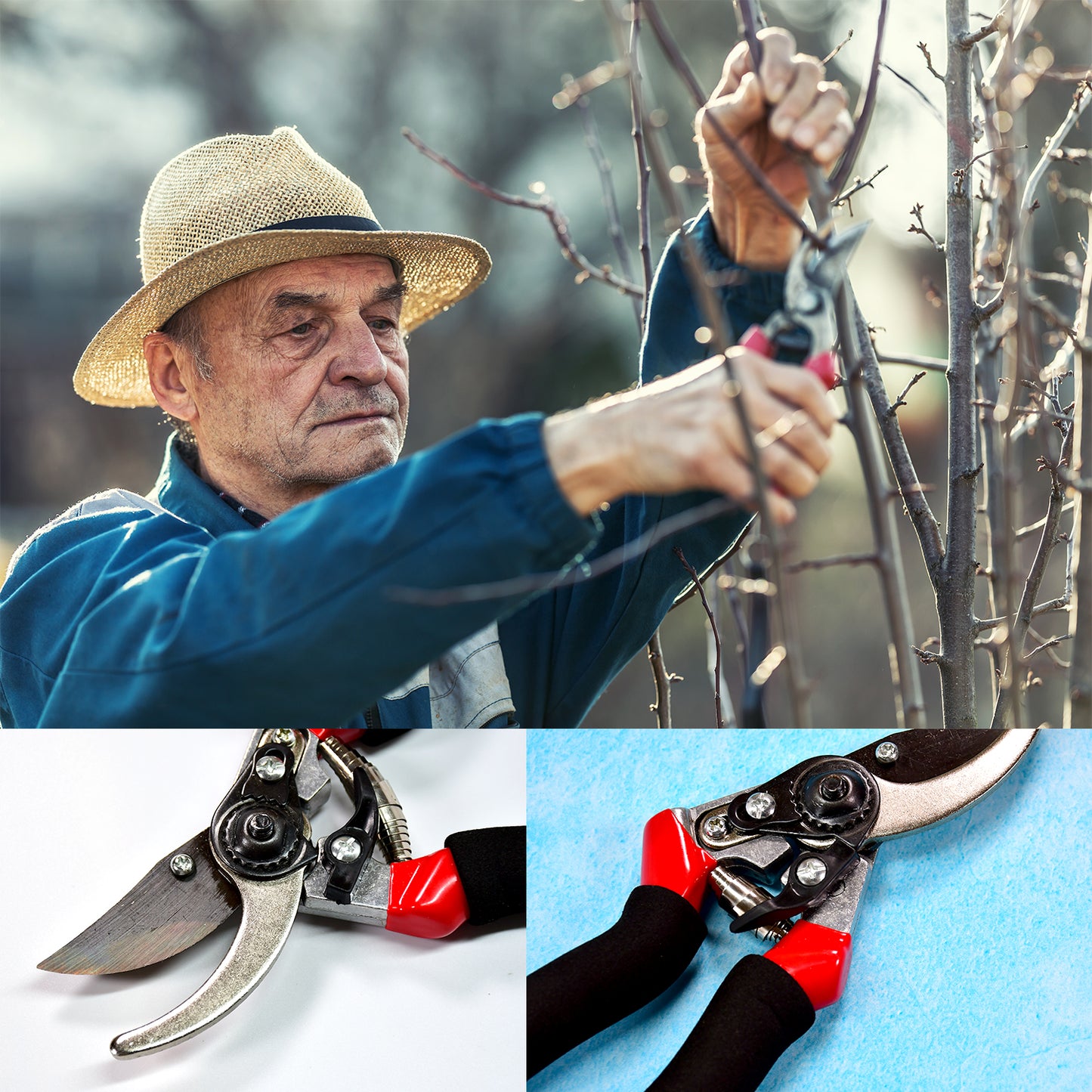 21cm Red Garden Shears Sharp Cutter Pruners Scissor Pruner. - Happy Price - Image 4