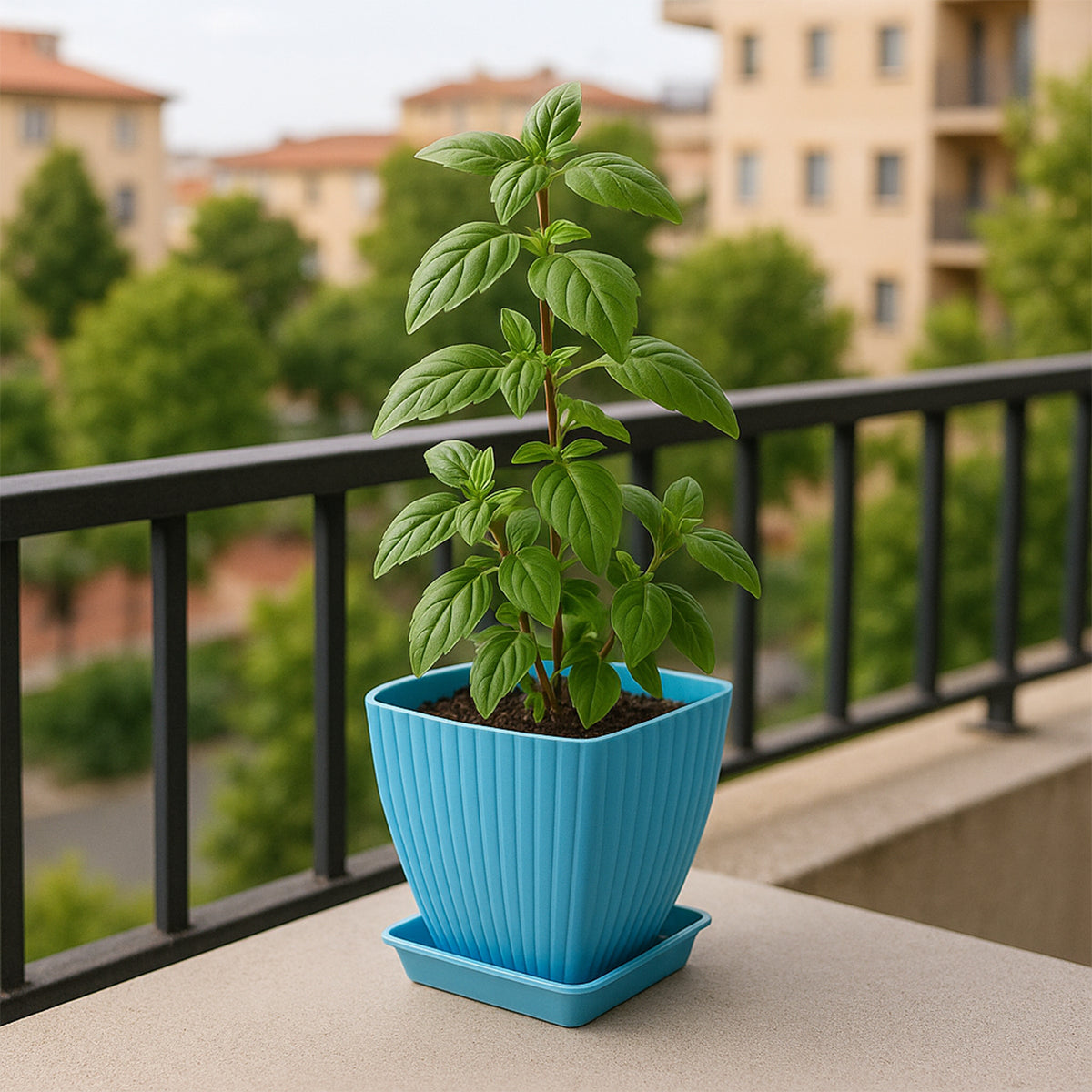 Trendy Square Plastic Flower Pots Set Of 5 - Happy Price - Image 4