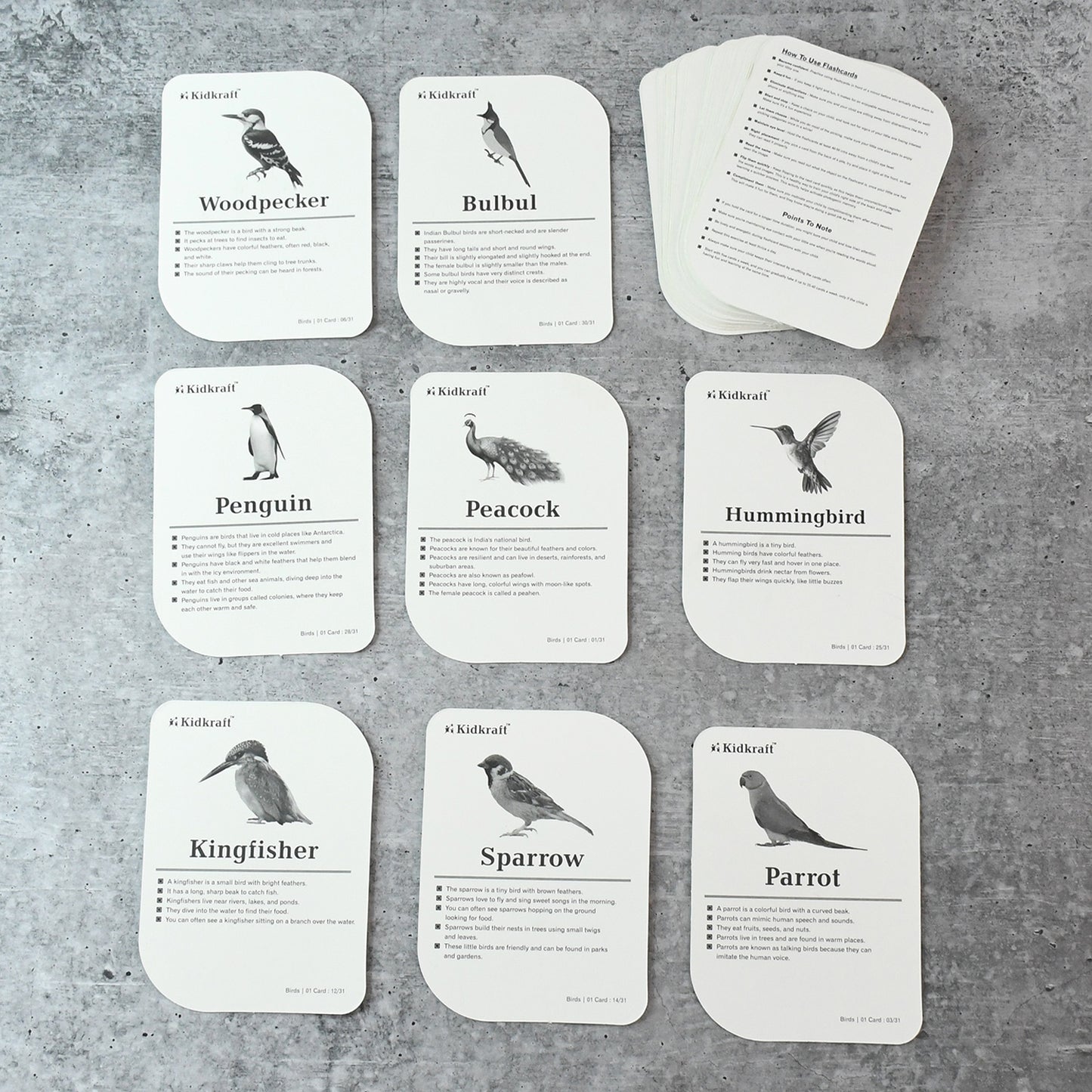 Kidkraft Early Learner Educational Flashcards 32 Birds - Happy Price - Image 3