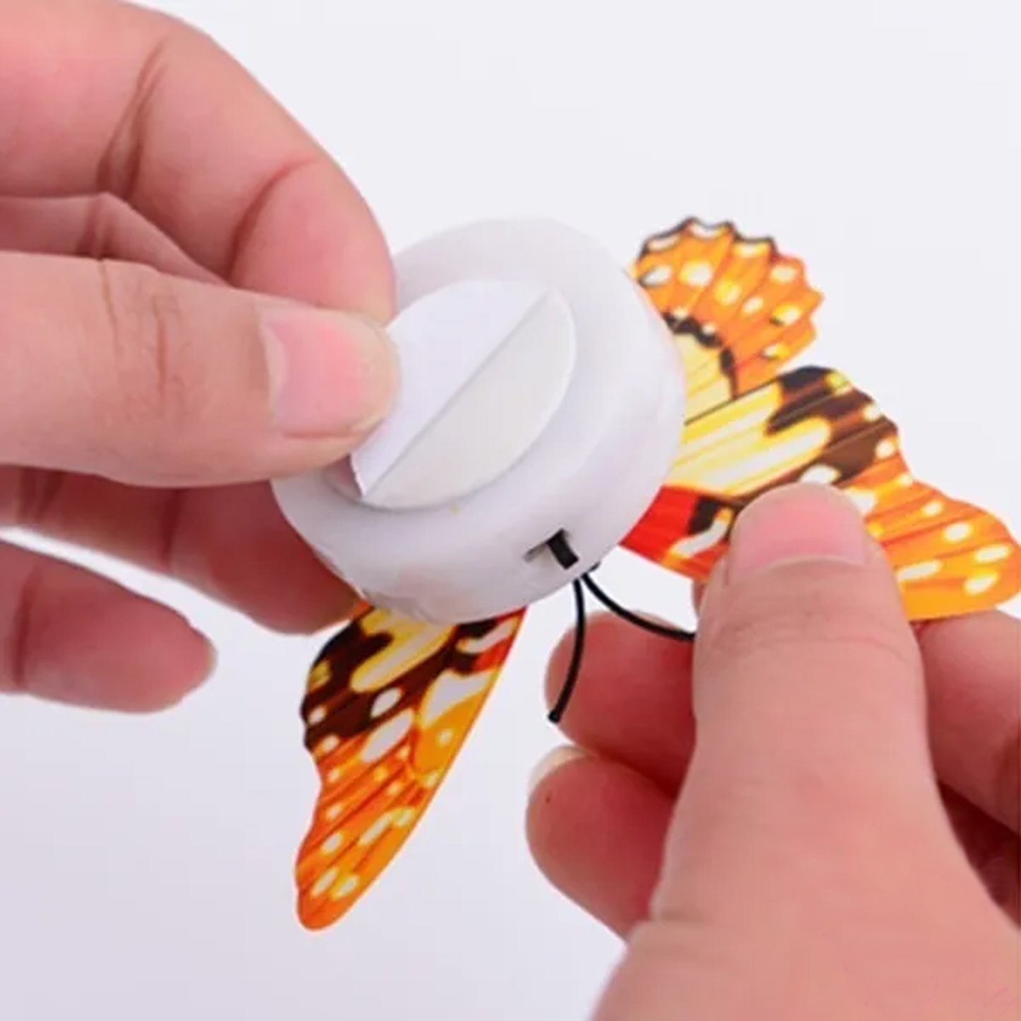 Butterfly 3d Night Lamp Comes With 3d Illusion Design Suitable For Drawing Room Lobby. (Pack Of 50) - Happy Price - Image 7