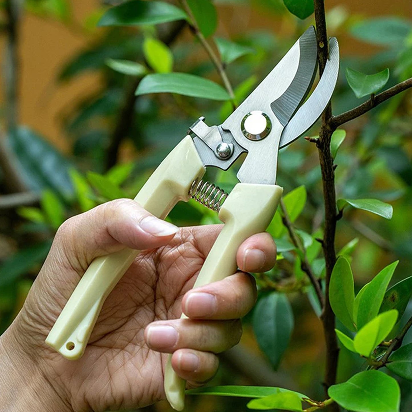 Stainless Steel Pruning Shears With Sharp Blades And Comfortable Handle - Durable Hand Pruner For Comfortable And Easy Cutting Heavy Duty Gardening Cutter Tool Plant Cutter For Home Garden Wood Bran (1 Pc) - Happy Price - Image 2