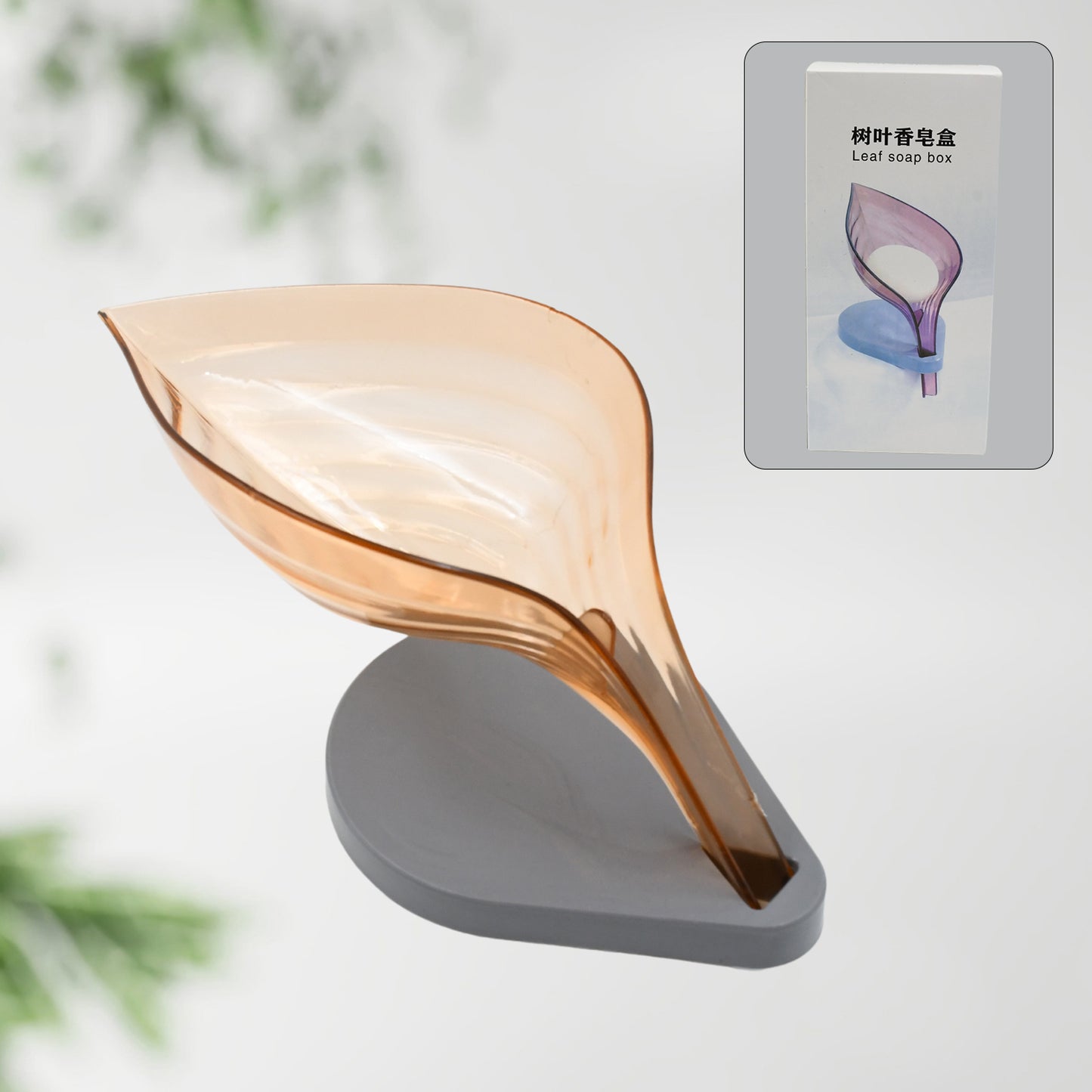 Plasticleaf Shape Soap Box Soap Holder (1 Pc With Color Box) - Happy Price - Image 2