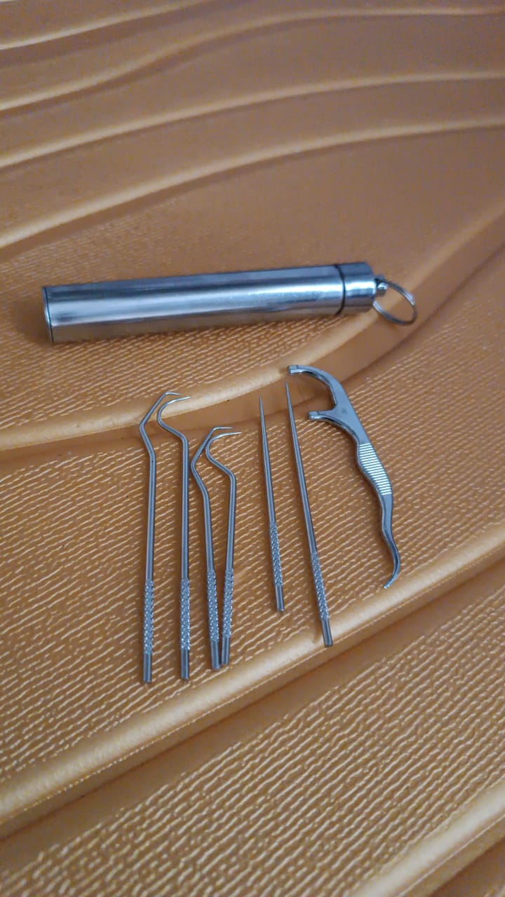 7 In 1 Stainless Steel Toothpick Flossier Set (1 Set With Case) - Happy Price - Image 7