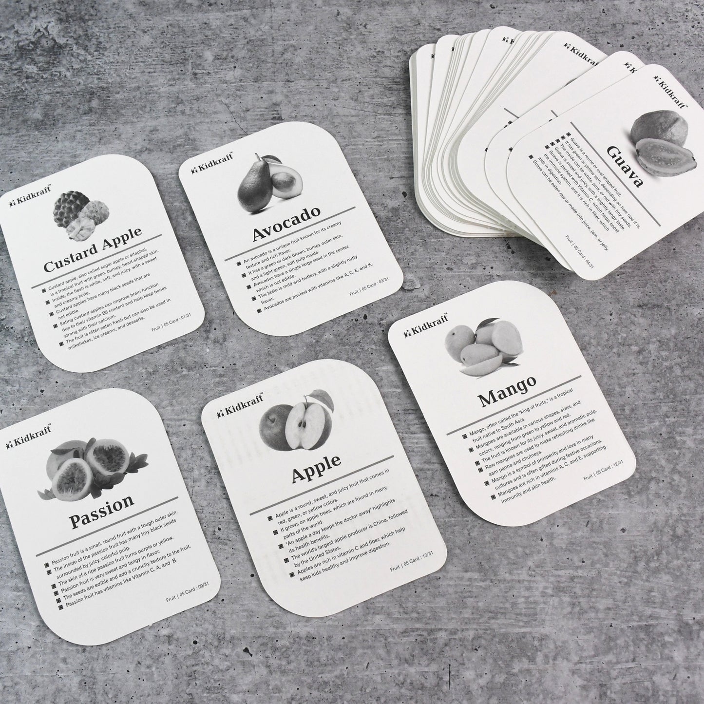 Kidkraft Early Learner Educational Flashcards 32 Birds - Happy Price - Image 5