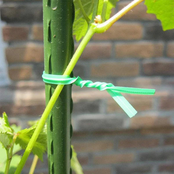 Plastic Twist Tie Wire Spool With Cutter For Garden Yard Plant 50m (Green) - Happy Price - Image 6