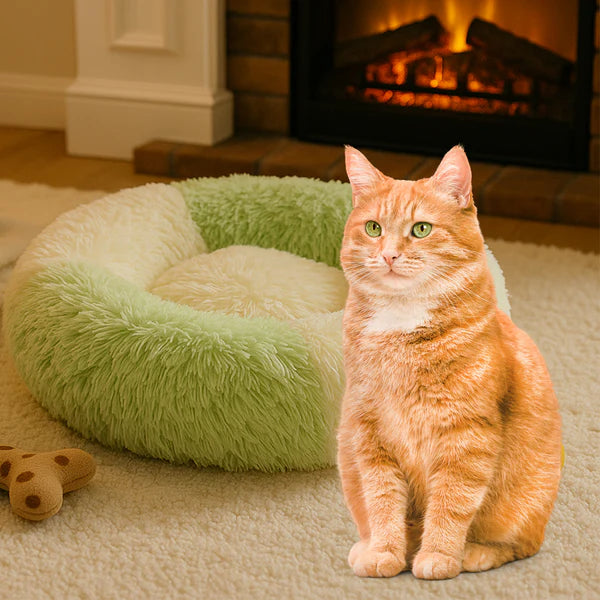 Cute Cat   Dog Sleeping Bed Pet Supplies  Dog Supplies  Beds (1 Set) - Happy Price - Image 6