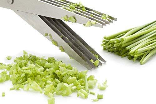 Multifunction Vegetable Stainless Steel Herbs Scissor With 5 Blades - Happy Price - Image 3