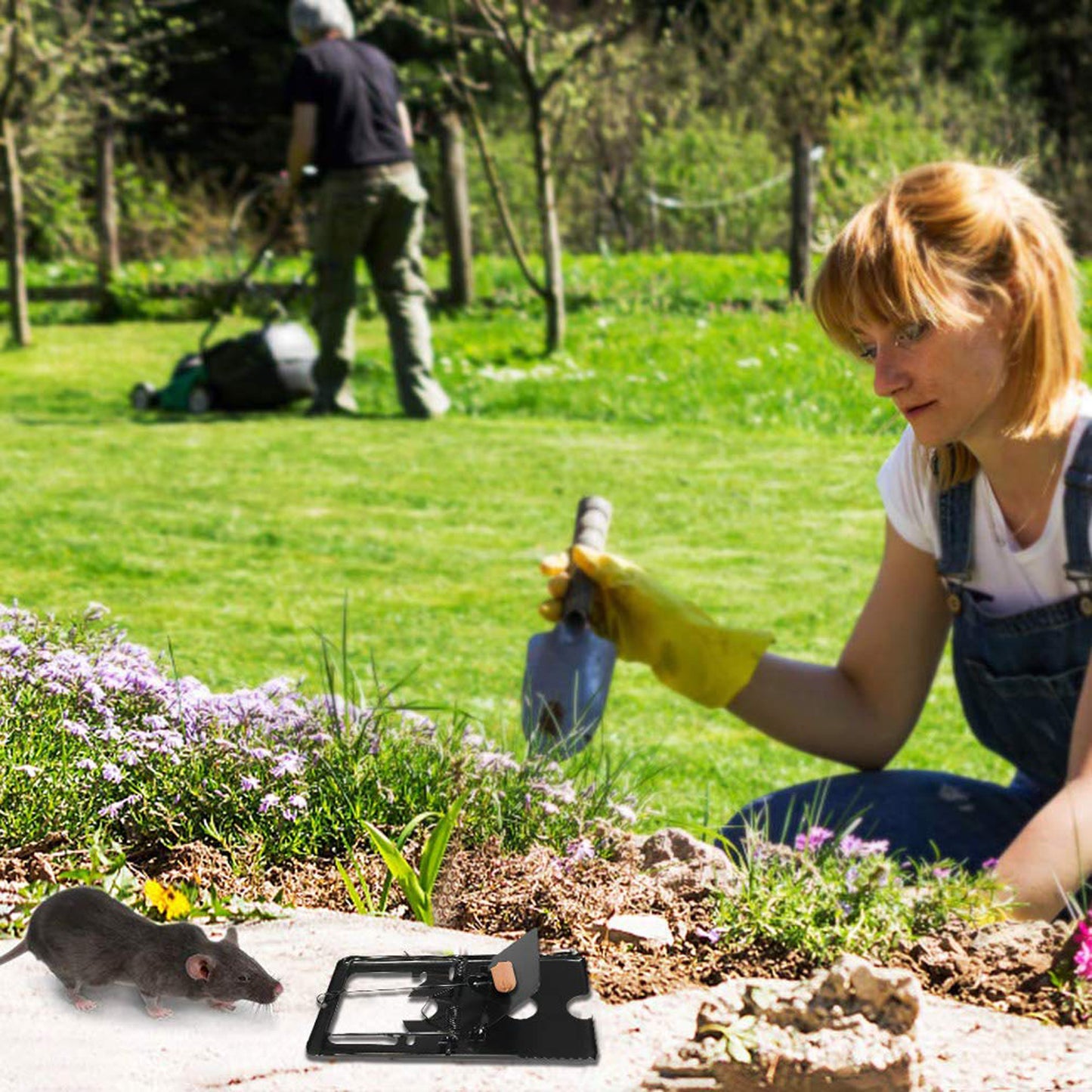 Mouse Trap Catcher Rodent Traps Mice Control Mice Snap Kill Trap (2 Pc) - Happy Price - Image 4