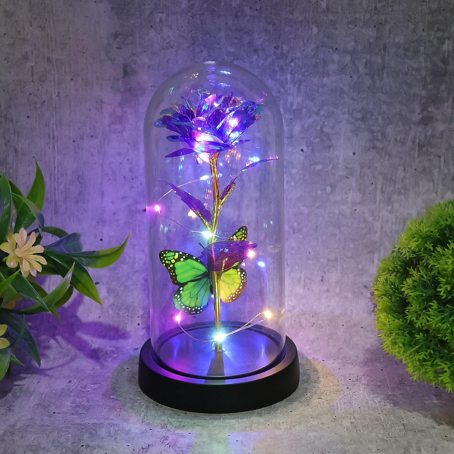 Led Preserved Rose With Colorful Butterfly In Plastic Dome (1 Pc  Mix Color) - Happy Price - Image 5