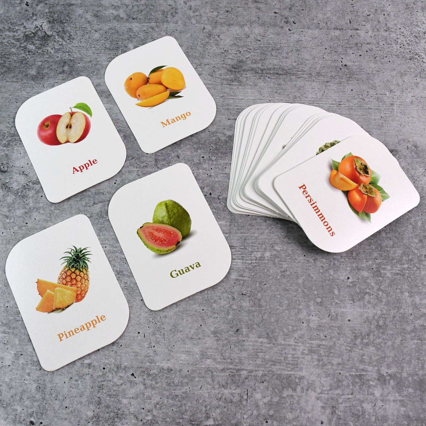 Kidkraft Early Learner Educational Flashcards  32 Birds - Happy Price - Image 3