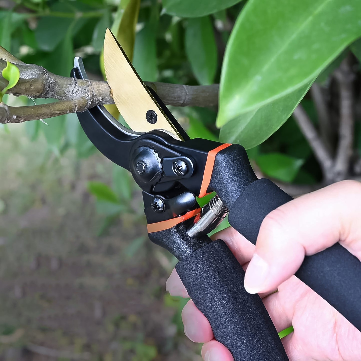 Heavy Duty Garden Pruning Shears (1 Pc) - Happy Price - Image 5