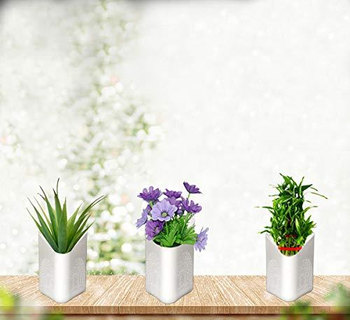 Plastic Vertical Hanging Planter Pot Multicolour - Happy Price - Image 3