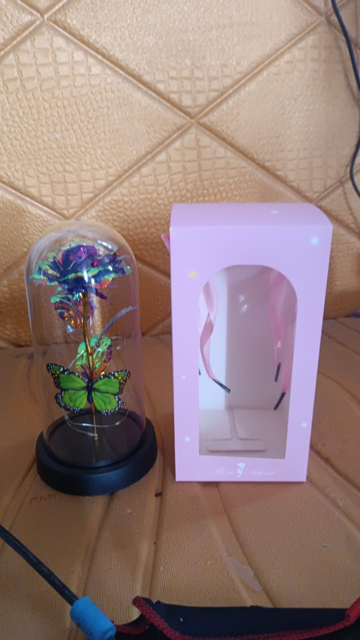 Led Preserved Rose With Colorful Butterfly In Plastic Dome (1 Pc  Mix Color) - Happy Price - Image 7