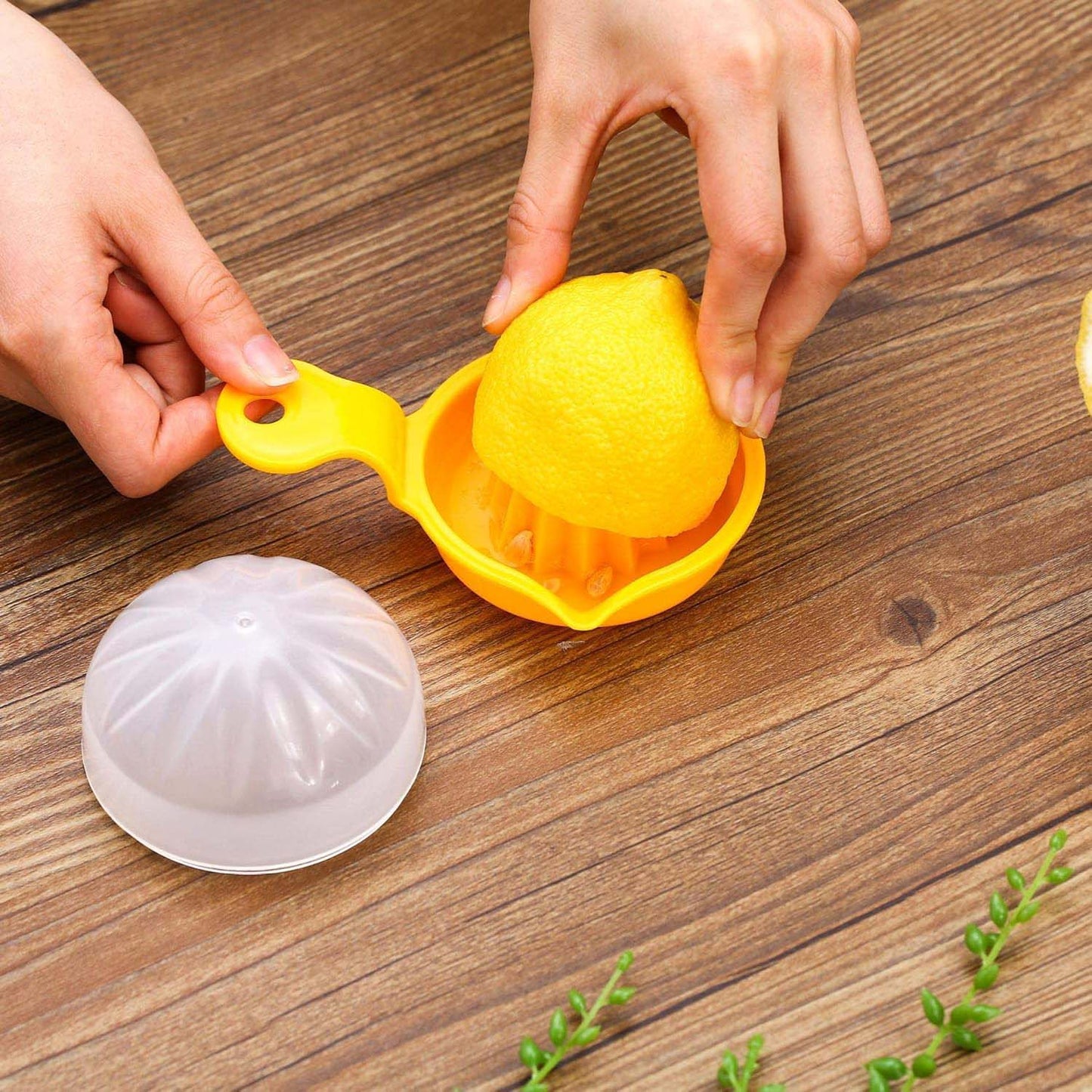 Manual Citrus Juicer with Lid - 1 Pc Hand Squeezer for Lemons, Limes, Oranges - Happy Price - Image 6