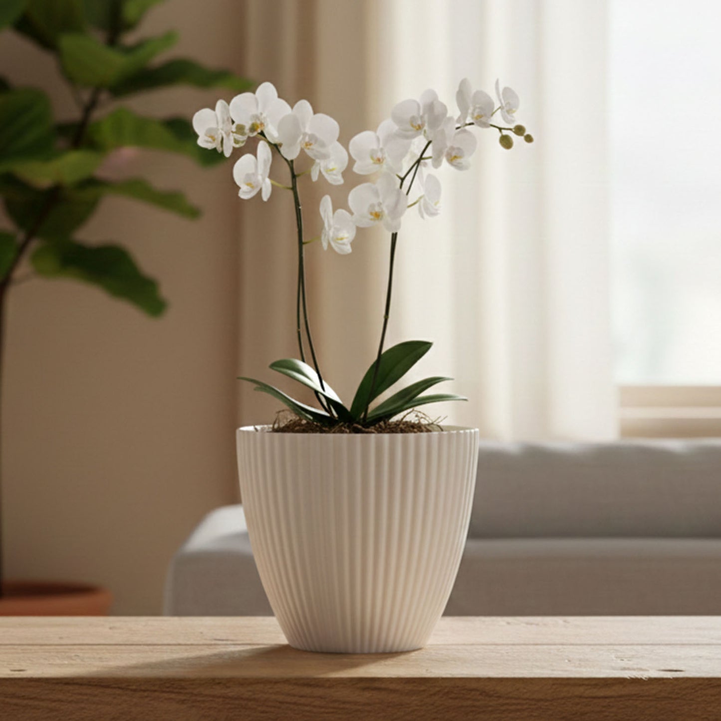 White Ribbed Decorative Flower Pot (1 Pc) - Modern Indoor Planter - Happy Price - Image 5