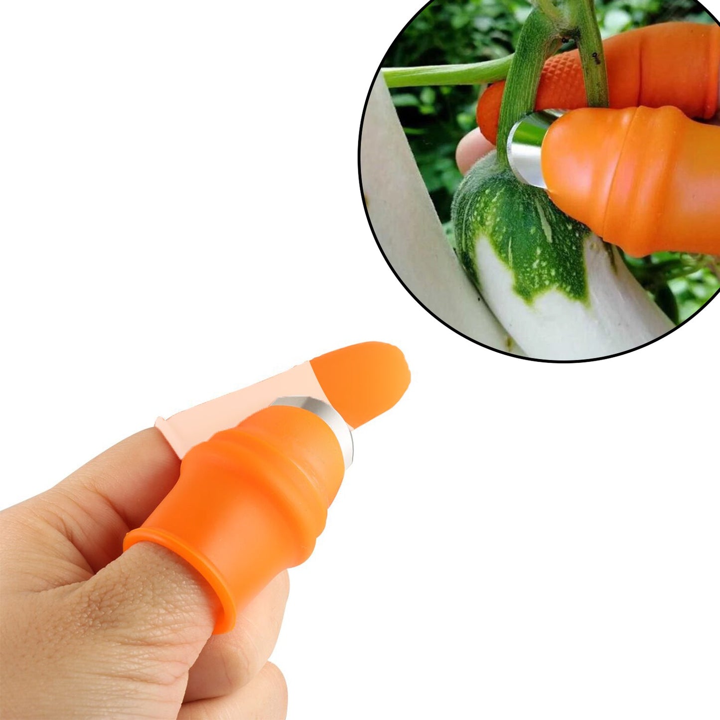 Vegetable Thumb Cutter And Tool With Effective Sharp Cutting Blade System. - Happy Price - Image 6